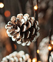 Seasonal & Decor