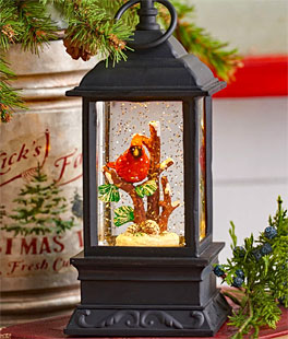9.5 Inch Lighted Cardinal Glitter Water Lantern Battery Operated - Timer