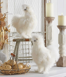 White Silky Chicken  Set of 2 Assorted - 13 Inch - NEW 2023