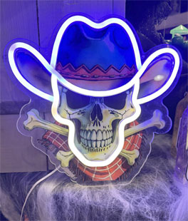 Neon Lighted Acrylic Hanging Halloween Skull Sign 10" - New 202