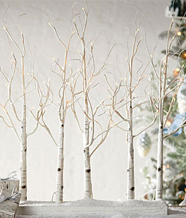 Vickerman X221540 4' White Birch Tree Grove Led104ww 5/Set